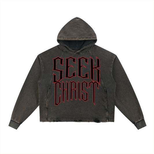 "Synonym Of Christ" Hoodie